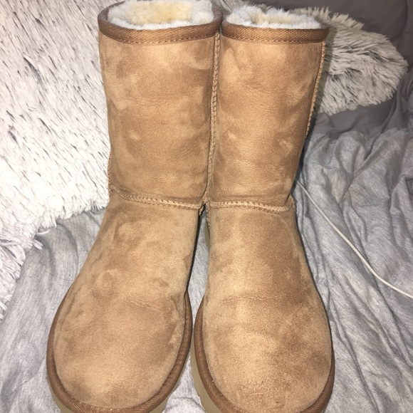 Short Ugg’s - Picture 2 of 4